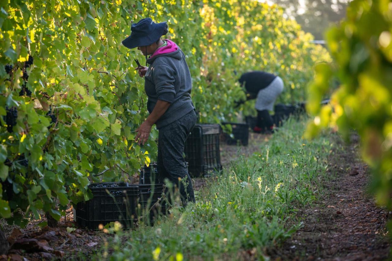 Belfield Wines And Farm Cottages คราโบว์ ภายนอก รูปภาพ